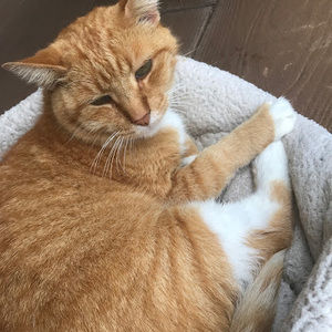 Meet your Posher, Dayton